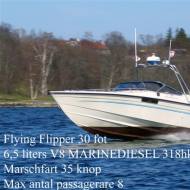 Flying Flipper, Powered by 1 x Marine Diesel 300Hp