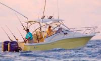 Scout 262 'Abaco'