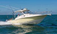 Scout 295 'Abaco'