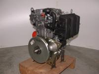 Lombardini LDW 502M3 (5,5HP)