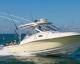 Abaco Series