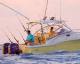 Scout 262 'Abaco'
