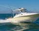 Scout 295 'Abaco'