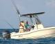Scout 205 'Sportfish'