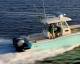 Scout 282 'Sportfish'